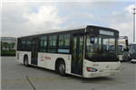 海格KLQ6129GAE6公交车（柴油国五24-52座）